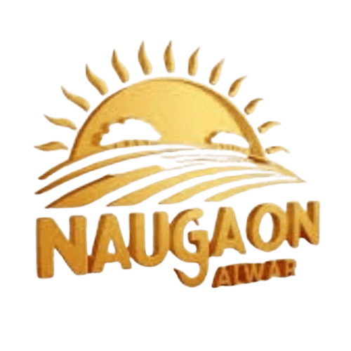 Naugaon Website logo