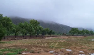 best commercial plots in Naugaon